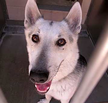 Photo of LUNA