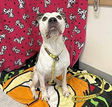 Photo of Lilly