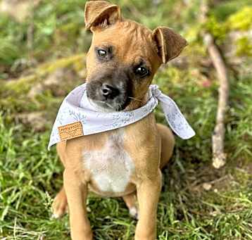 Photo of Oakley
