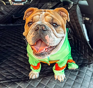 Photo of Bruce