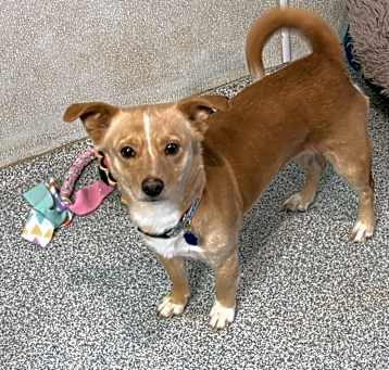 Photo of Merry Jane