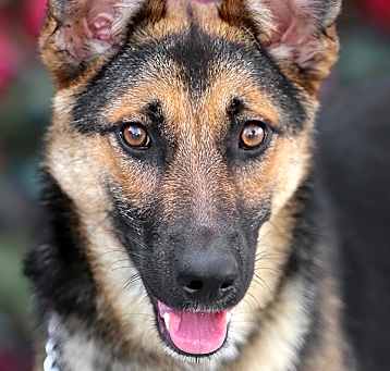 Photo of Brynn von Bamberg