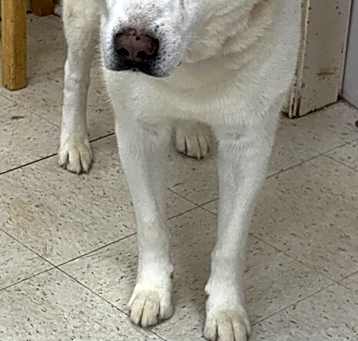 Photo of Mystic