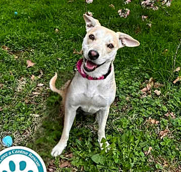 Photo of Tiana 012525