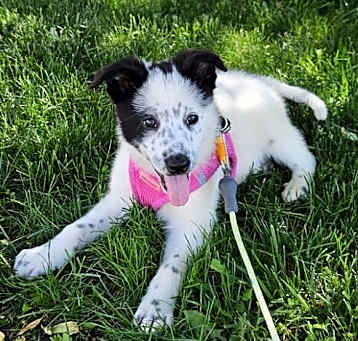 Photo of Baby Ava