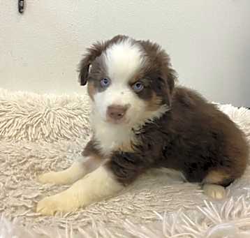 Photo of Outlaw