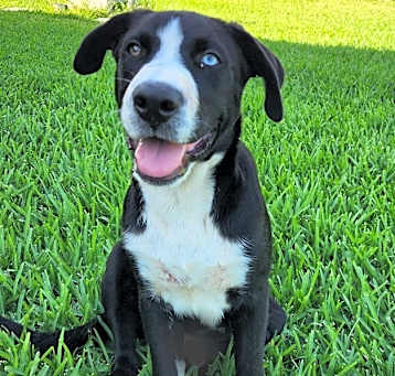 Photo of CA Gus