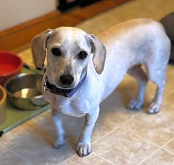 Photo of Pearla