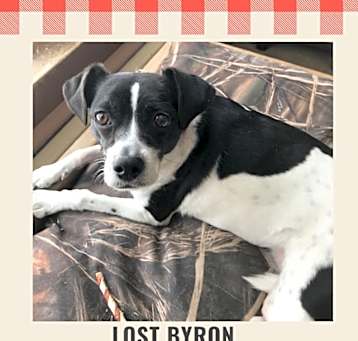 Photo of Bella IS LOST