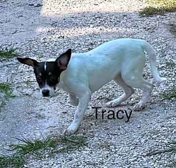 Photo of Tracy