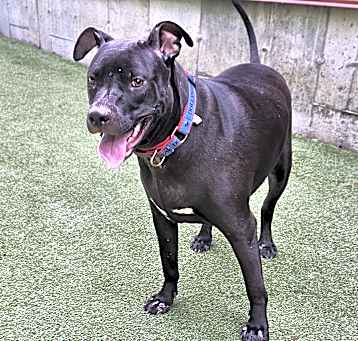 Photo of Zoe