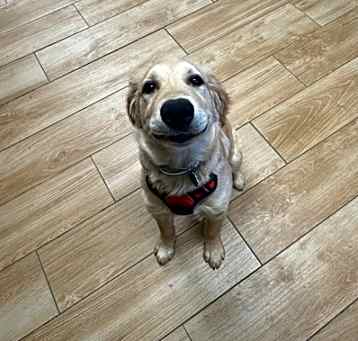 Photo of Carson~25/26-0006