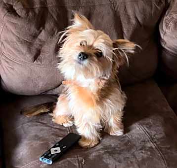 Photo of Lil Missy