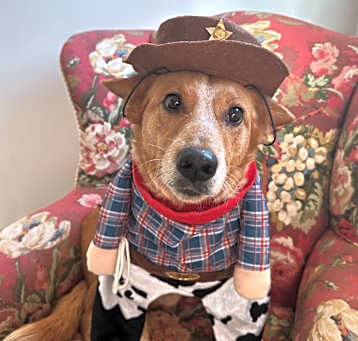 Photo of Percy
