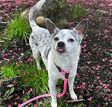 Photo of Elsa