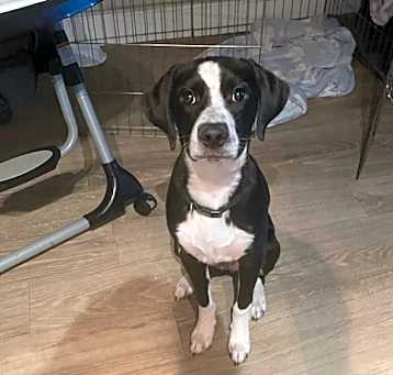 Photo of Bourbon