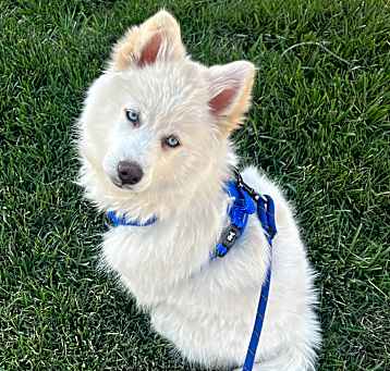 Photo of bentley
