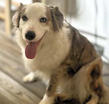 Photo of Chloe