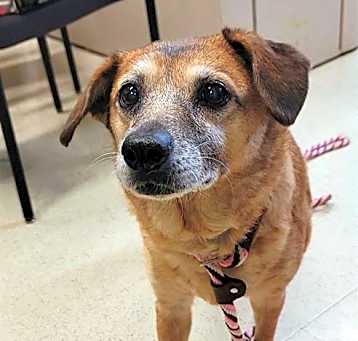 Photo of BAILEY