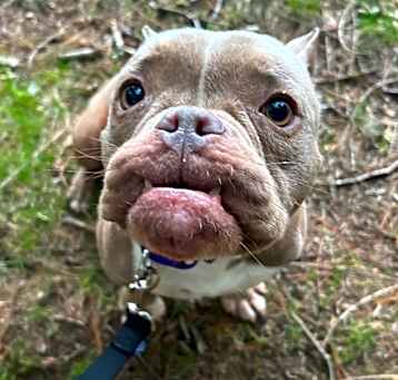 Photo of Patience Potato