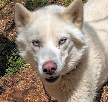 Photo of Silas 