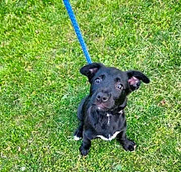 Photo of MAGGIE