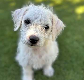 Photo of Hiro