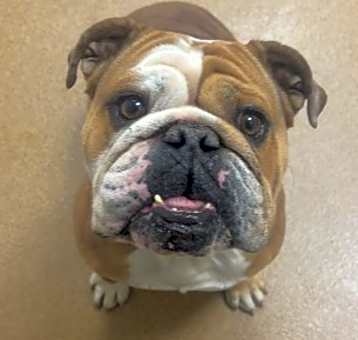 Photo of Biggie