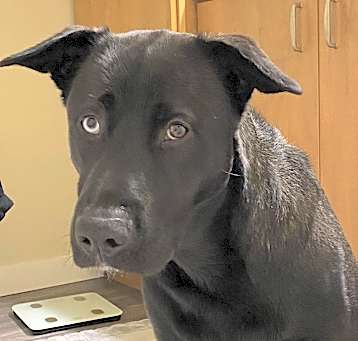 Photo of KATO