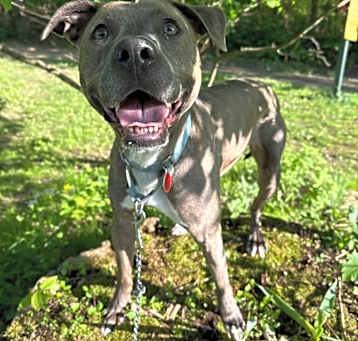 Photo of Sybil 