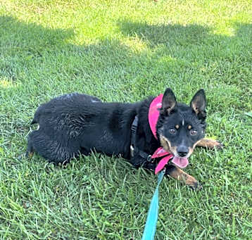 Photo of Luna