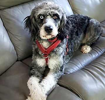 Photo of Stormy