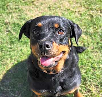 Photo of Velma