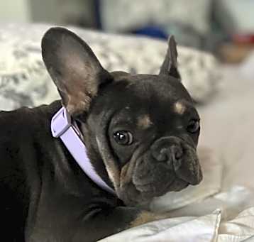 Photo of Minnie