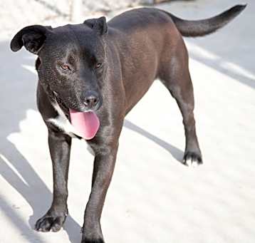 Photo of Jet