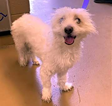 Photo of OLAF