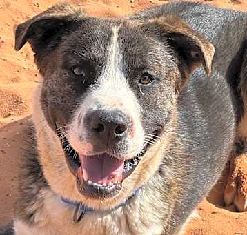 Photo of Swatch