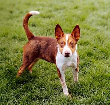 Photo of Gatsby