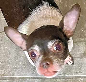 Photo of Bridgett