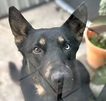 Photo of Frida