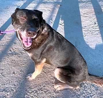 Photo of LILLI