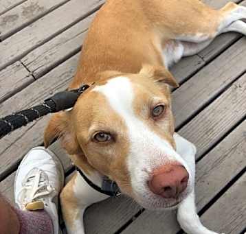 Photo of Bleu
