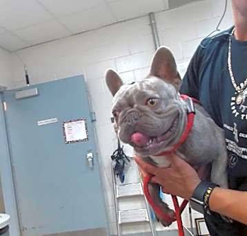 Photo of REMY