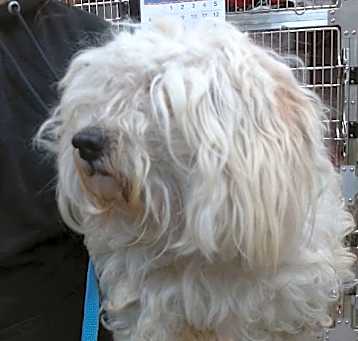 Photo of BELLA