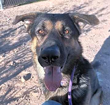 Photo of MAVERICK