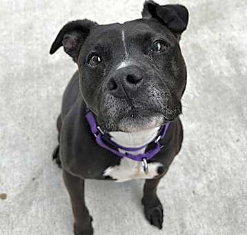 Photo of Isla