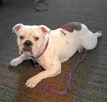 Photo of Lexi