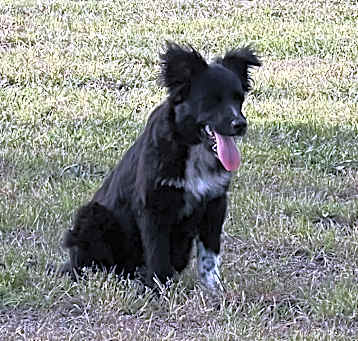 Photo of Outlaw