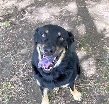 Photo of Archer