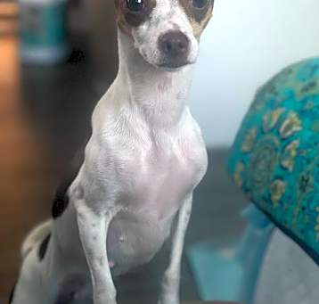 Photo of Cloe